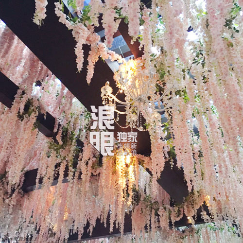 Lâm Tâm Như lộ rõ bụng bầu trong tiệc cưới - 2