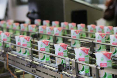 Sản phẩm nước dừa đóng hộp đầu tiên tại Việt Nam - 3