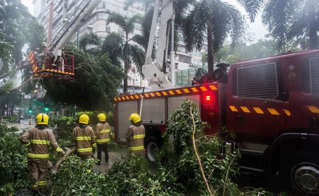 Cây đổ, nhà tốc mái khi bão số 2 càn quét Trung Quốc - 10