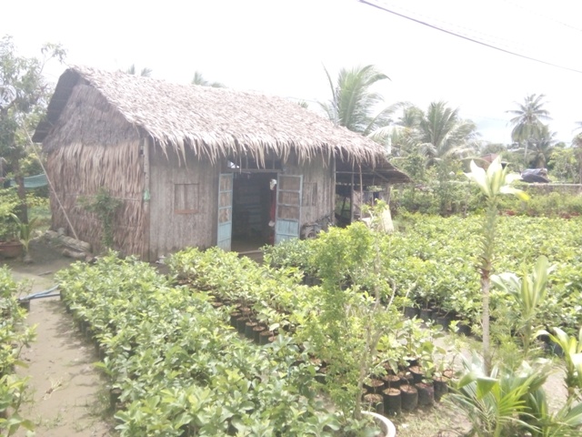 Bắt chàng rể tương lai chém chết "mẹ vợ" cùng hàng xóm - 2