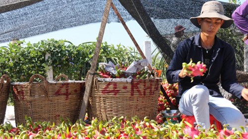 Theo chân tài xế đường dài: Khi thương lái TQ chơi bẩn - 4