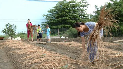 MC Xuân Hiếu, Ngọc Hương cùng con về quê làm nông dân - 4