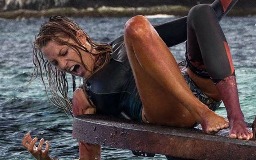 The Shallows: Phim về cá mập ăn thịt người hot nhất 2016 - 3