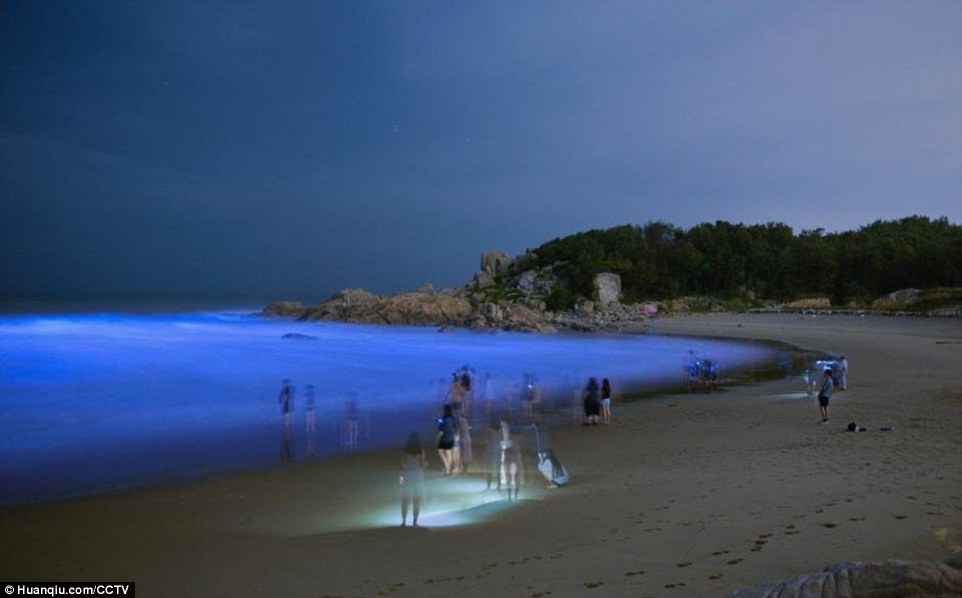 Bãi biển phát sáng xanh huyền bí trong đêm ở TQ - 1