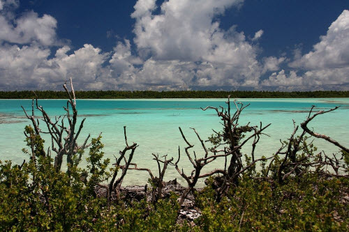 Khám phá đảo hình nhẫn giữa Thái Bình Dương - 10