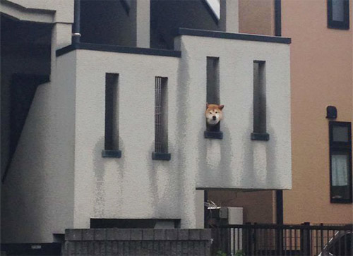 Cuộc đời không có lỗ thì chó sẽ bớt khổ! - 3