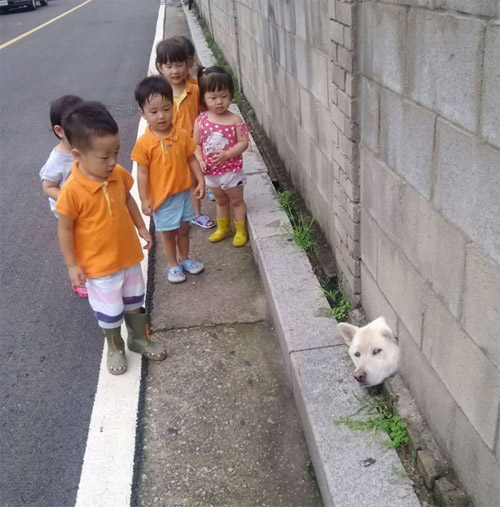 Cuộc đời không có lỗ thì chó sẽ bớt khổ! - 14