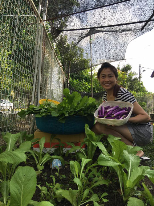 Mẹ Việt đưa giống cây sang Malaysia phủ kín vườn 200m2 - 1