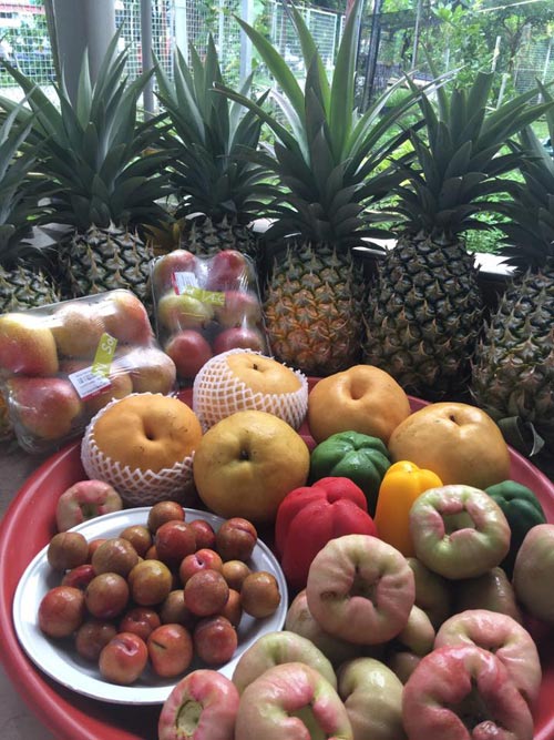 Mẹ Việt đưa giống cây sang Malaysia phủ kín vườn 200m2 - 3