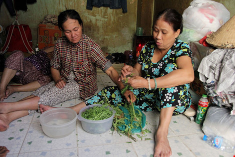 Cuộc sống của "đại gia đình" 37 người bán vé số ở Sài Gòn - 2