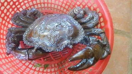 Sự thật giật mình chuyện biến cua đồng thành cua thần - 1