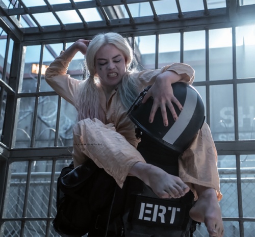 Thành công và thất bại của "Biệt đội cảm tử" - 6