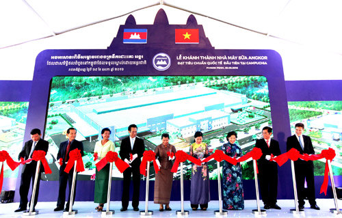 Giấc mơ toàn cầu hóa thương hiệu của Vinamilk - 3