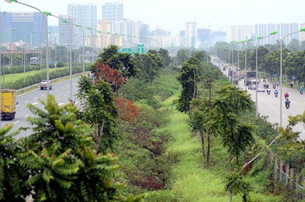 Chi 53 tỷ cắt cỏ tỉa cây, đại lộ Thăng Long vẫn như rừng - 1
