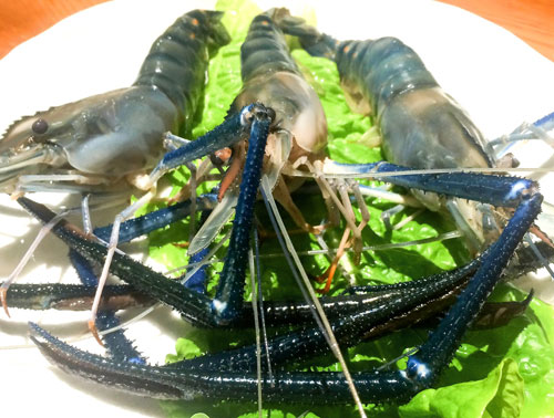 Những điều bạn chưa biết về món thịt nướng của Nhật - 6