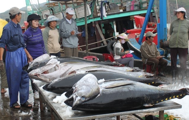 Vượt Thái Lan, cá ngừ Việt Nam hút hàng tại Ý - 1