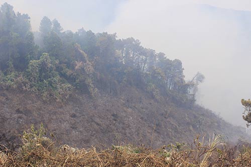 Cháy lớn ở rừng Hải Vân, hơn 500 người tham gia dập lửa - 1