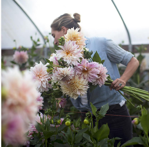 Cô gái trẻ chứng minh bán hoa là nghề tuyệt vời nhất - 5