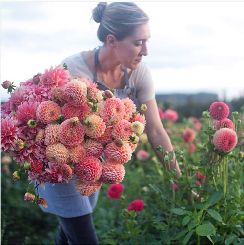 Cô gái trẻ chứng minh bán hoa là nghề tuyệt vời nhất - 13