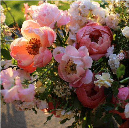 Cô gái trẻ chứng minh bán hoa là nghề tuyệt vời nhất - 14