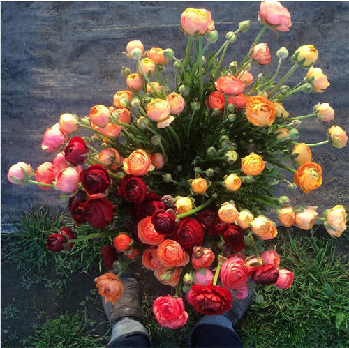 Cô gái trẻ chứng minh bán hoa là nghề tuyệt vời nhất - 15