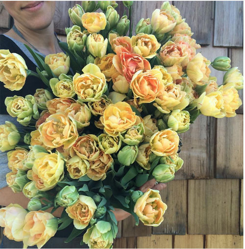 Cô gái trẻ chứng minh bán hoa là nghề tuyệt vời nhất - 4