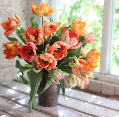 Cô gái trẻ chứng minh bán hoa là nghề tuyệt vời nhất - 13