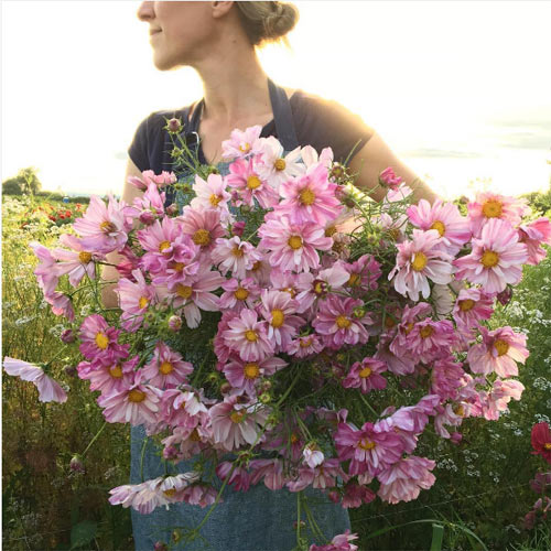 Cô gái trẻ chứng minh bán hoa là nghề tuyệt vời nhất - 10