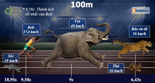 Huyền thoại Usain Bolt: Vĩ đại & ngạo nghễ (Infographic) - 4