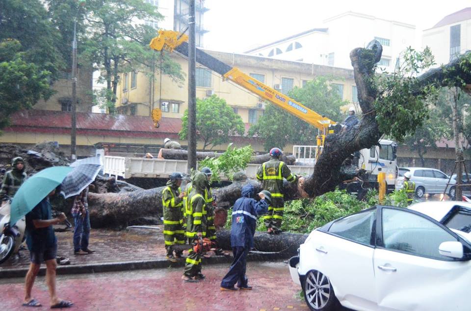 Bão Thần Sét đã suy yếu thành áp thấp nhiệt đới - 7