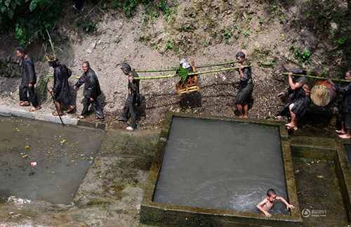 Lạ lẫm lễ hội người rước chó ngồi kiệu như ông hoàng - 2