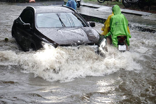 HN: Bão Thần Sét giật tung 100 gốc cây, làm bị thương 2 người - 10