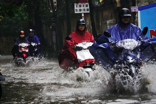 HN: Bão Thần Sét giật tung 100 gốc cây, làm bị thương 2 người - 9