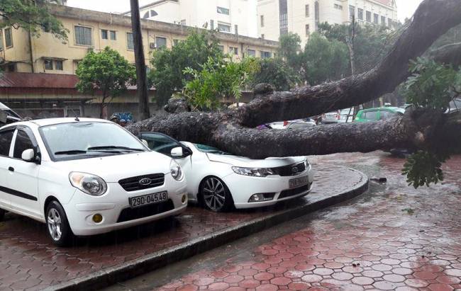 Bão Thần Sét khiến 5 người thương vong, mất tích - 2