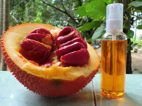 Ăn gấc kiểu này là bạn đang tự làm hại mình - 3