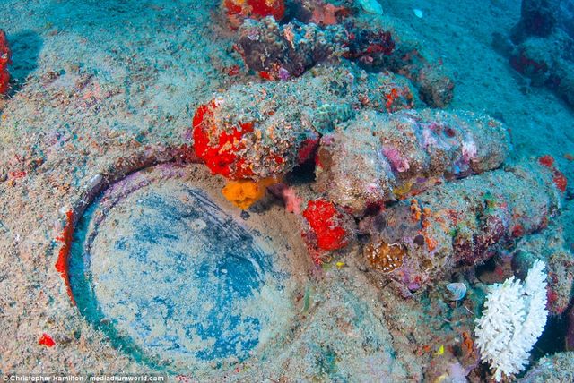 Khám phá tàu chiến Mỹ 13.000 tấn chìm sâu dưới biển - 5