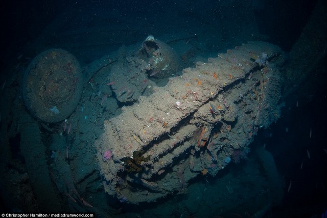 Khám phá tàu chiến Mỹ 13.000 tấn chìm sâu dưới biển - 9