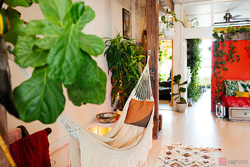 Cô gái Mỹ biến ngôi nhà thành "khu rừng" giữa phố - 7