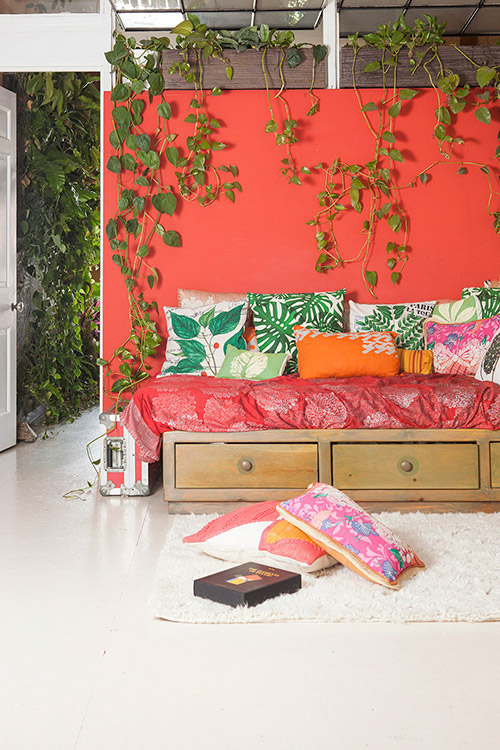 Cô gái Mỹ biến ngôi nhà thành "khu rừng" giữa phố - 13