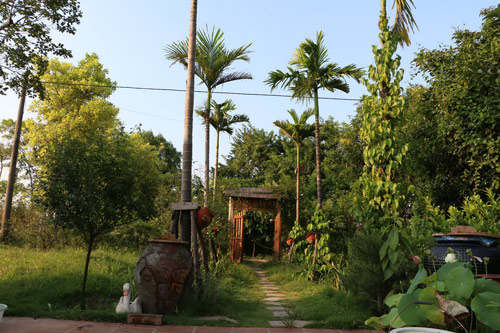 Choáng với vườn hồng đẹp như tây ở ngoại ô Hà Nội - 7