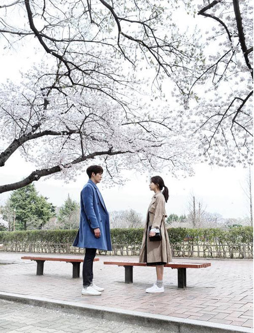 Phim của bạn gái Lee Min Ho khiến fan khóc hết nước mắt - 1