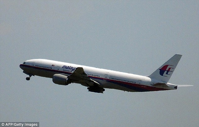 Tìm thấy mảnh vỡ rạn nứt của MH370? - 1