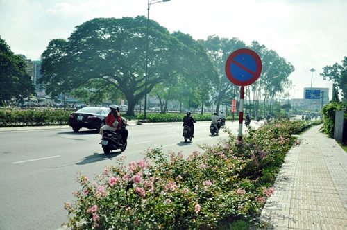 Thông xe tuyến Tân Sơn Nhất - Bình Lợi - Vành đai ngoài - 1