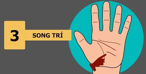 9 dấu hiệu đặc biệt trong bàn tay người thành công - 3