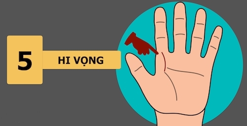 9 dấu hiệu đặc biệt trong bàn tay người thành công - 5