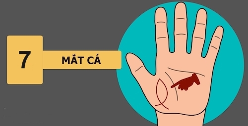 9 dấu hiệu đặc biệt trong bàn tay người thành công - 7