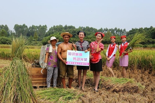 Nữ tiếp viên hàng không TQ đi giày cao gót gặt lúa - 2