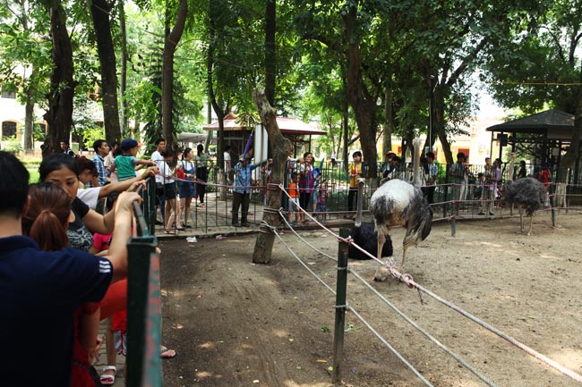 Người lớn, trẻ em vật vã, mướt mồ hôi đi chơi lễ 2/9 - 4