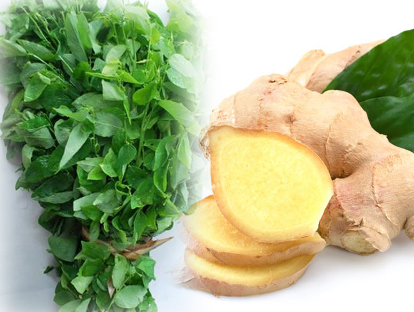 Gạt phăng nỗi lo thâm nám da nhờ rau ngót rẻ tiền - 2