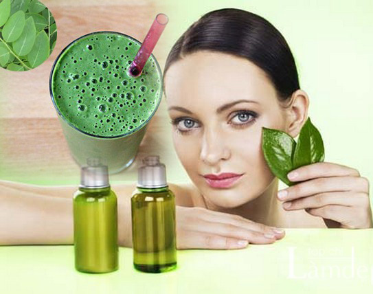 Gạt phăng nỗi lo thâm nám da nhờ rau ngót rẻ tiền - 4